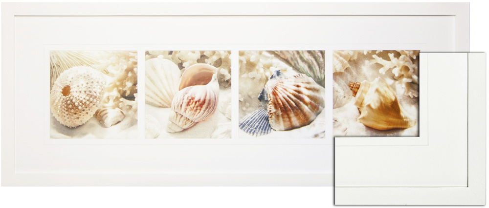 FP071 Wall décor art framed print sea shells white frame
